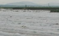 Index sea of plastic