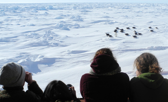 Index dscn1274 meitu 5