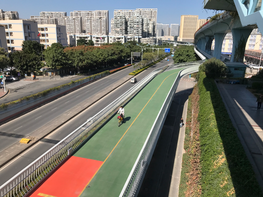 Image result for america bike lane on freeway