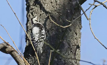 Aside screen shot 2018 03 15 at 114620