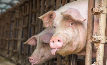 Index thinkstockphotos 700500414