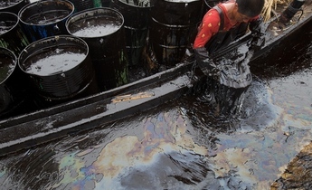 Index gp024wg web size