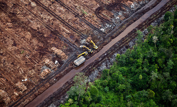 Aside gp03qyl web size