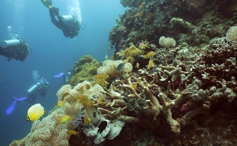 Sidebar thinkstockphotos 916779512 scuba divers underwater alexpunker 1440x810