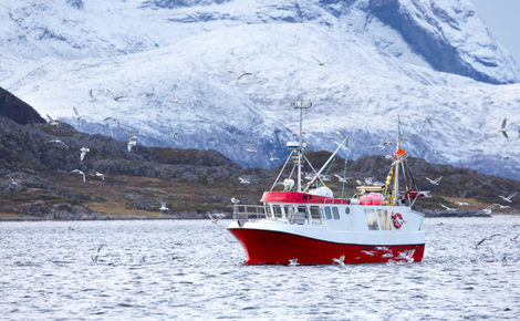 Sidebar thinkstockphotos 507840510 e1542715468485 1440x849