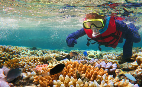 Sidebar thinkstockphotos 610660400 child snorkeling in great barrier reef queensland australia chameleonseye 1440x838