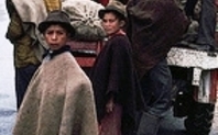 Index colombian farmers