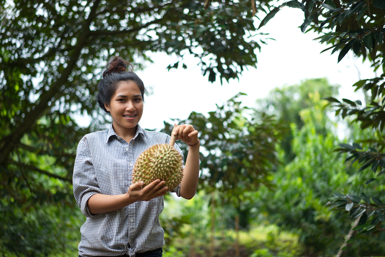 Image result for thai agriculture