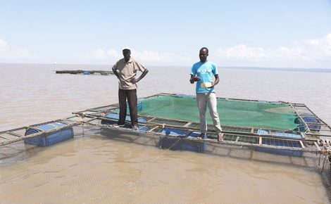 Sidebar china kenya fish trade 3 1440x960