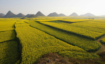 Aside bfmxwb meitu 3