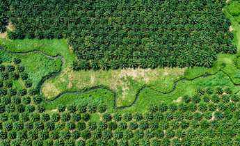 Aside kw9fmy meitu 1