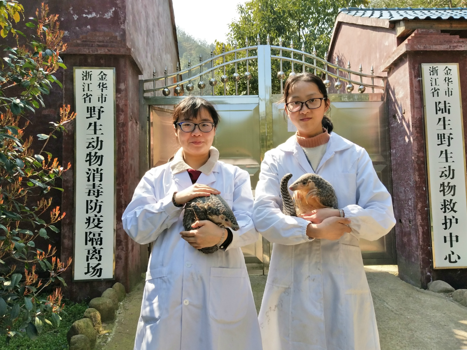 https://chinadialogue-production.s3.amazonaws.com/uploads/content/image/11275/Staff_at_Wildlife_Rescue_Centre_along_with_two_rescued_Chinese_pangolins.jpg