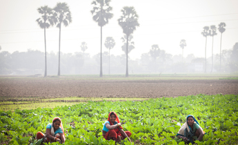 Index gp0sto8zb local female farmers in india