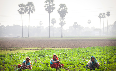 Sidebar gp0sto8zb local female farmers in india