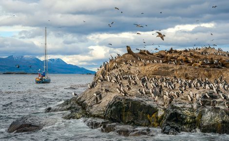 Sidebar etkf2k beagle channel tierra del fuego 1440x958