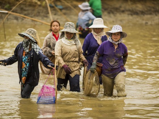 Did China turn off the lower Mekong? Why data matters for cooperation - chinadialogue