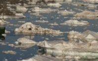 Index hmpic arctic