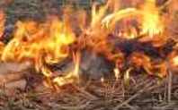 Index crop fire
