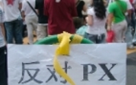 Index xiamen px