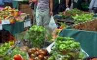 Index food