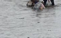Index flooding