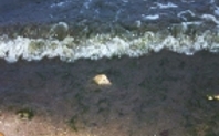 Index coast water