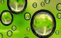 Index biofuel