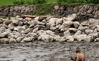 Index sundarbans