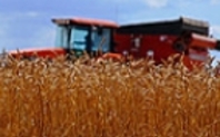 Index harvest