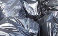 Index binbag large
