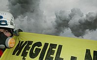 Index greenpeace large