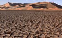 Index drought security