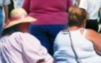 Index obesityhomepage