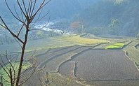 Index nepal large
