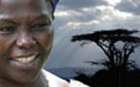 Index wangari maathai large