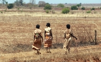 Index madagascar 2312 large