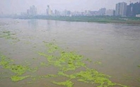 Index phosphorous pollution 2