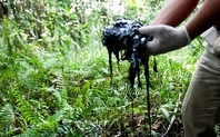 Index ecuador oil spill 1 large