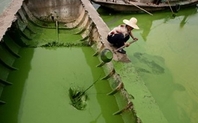 Index china pollution fertilizer large