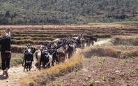 Index drought china2 large