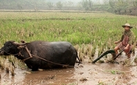 Index eco agricultural large