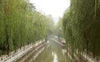 Index china canal