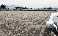 Index fukushima nuclear radiation test