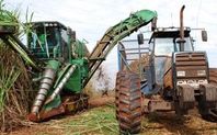 Index sugarcane426x180 1