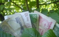 Index money 426