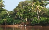 Index 426 tana delta