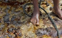 Index 426 niger unep