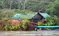 Index 426 yasuni