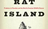 Index rat island image