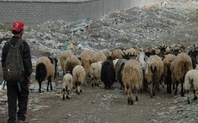 Index 426 sanjiangyuan